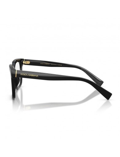 Dolce & Gabbana modelo 3422 en color 501