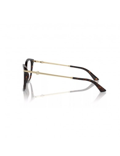 JIMMY CHOO modelo 3007HB de color 5002