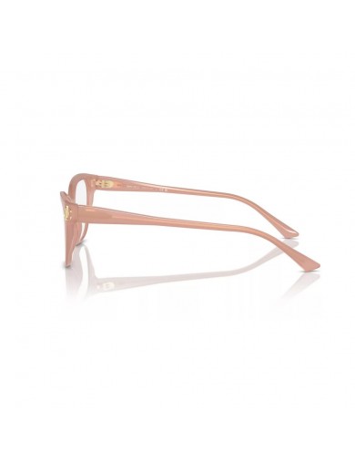 JIMMY CHOO modelo 3011 de color 5027