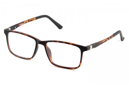 OPTIMODA FINCH