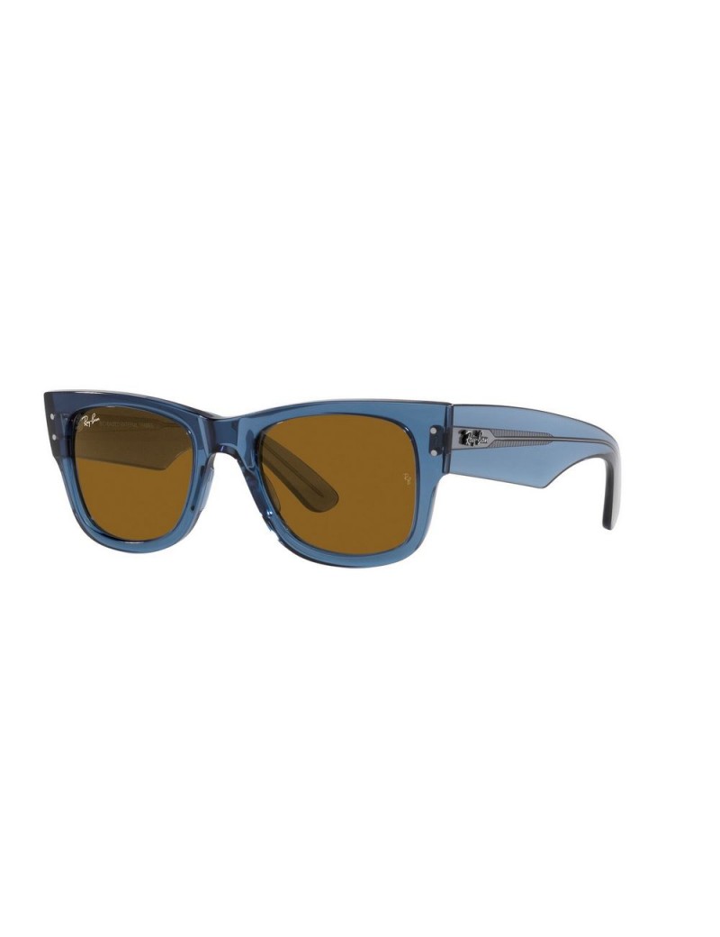 Gafa Ray-Ban 0840S en color 668073