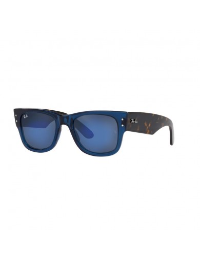 Gafa Ray-Ban 0840S en color 6638O4