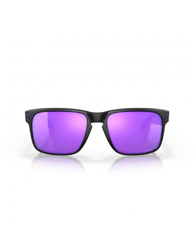 Gafas de sol Oakley Holbrook 9102 del color 9102K6