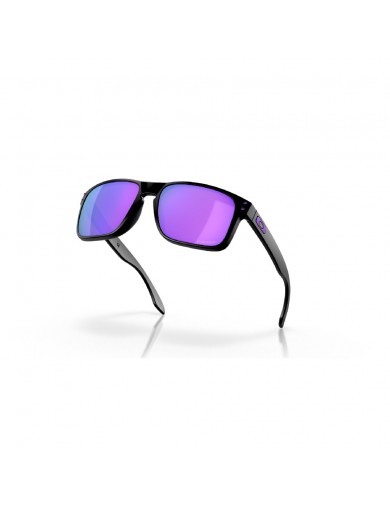 Gafas de sol Oakley Holbrook 9102 del color 9102K6