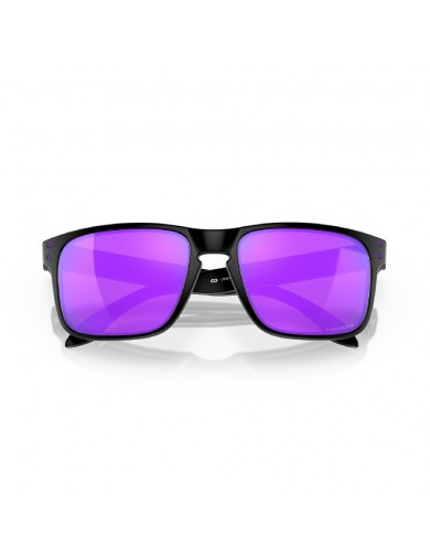 Gafas de sol Oakley Holbrook 9102 del color 9102K6