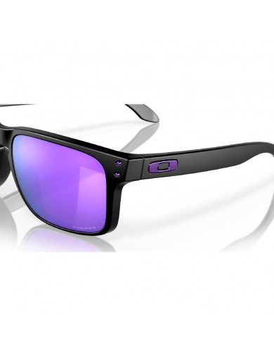 Gafas de sol Oakley Holbrook 9102 del color 9102K6