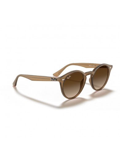 Gafa de sol Ray Ban 2180 en color 616613
