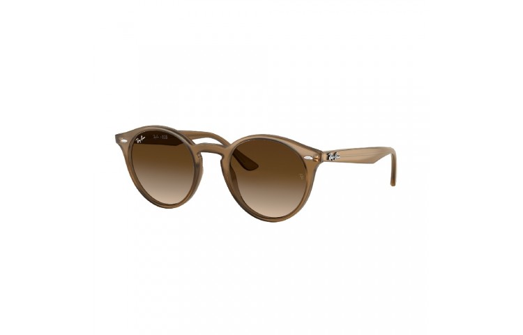 Gafa de sol Ray Ban 2180 en color 616613