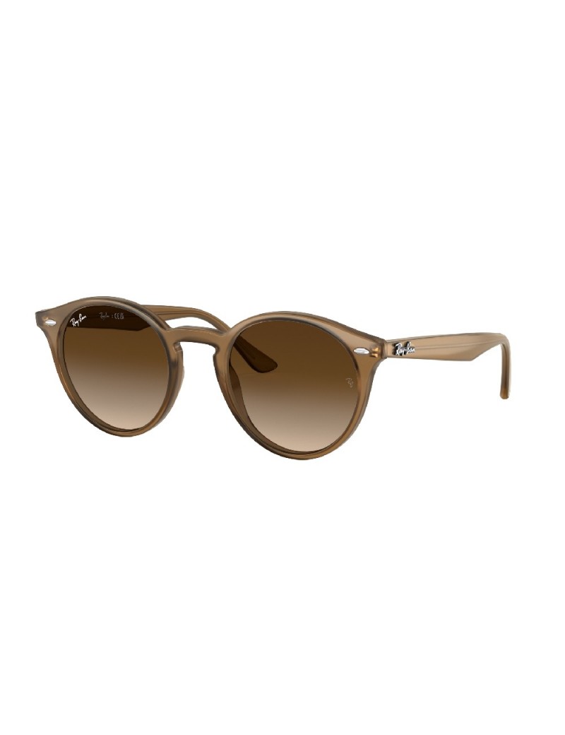 Gafa de sol Ray Ban 2180 en color 616613
