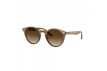 Gafa de sol Ray Ban 2180 en color 616613