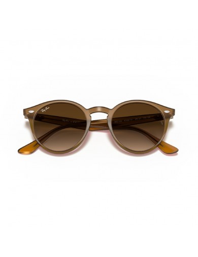 Gafa de sol Ray Ban 2180 en color 616613