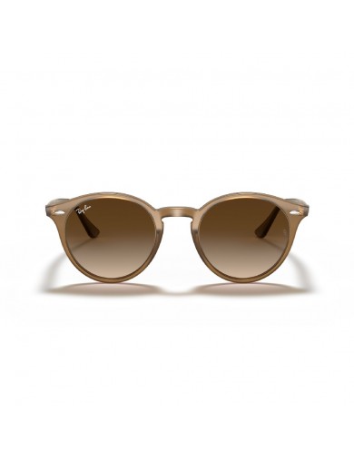 Gafa de sol Ray Ban 2180 en color 616613