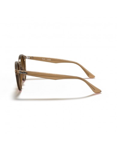 Gafa de sol Ray Ban 2180 en color 616613