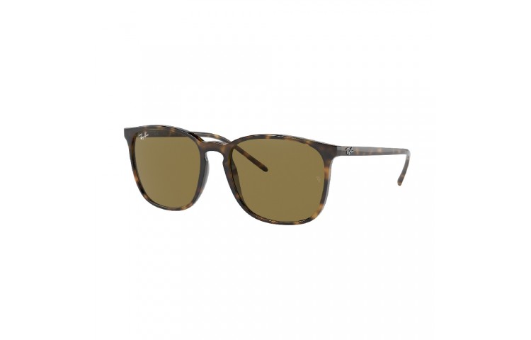 Gafa de sol Ray-Ban 4387 en color 710/73
