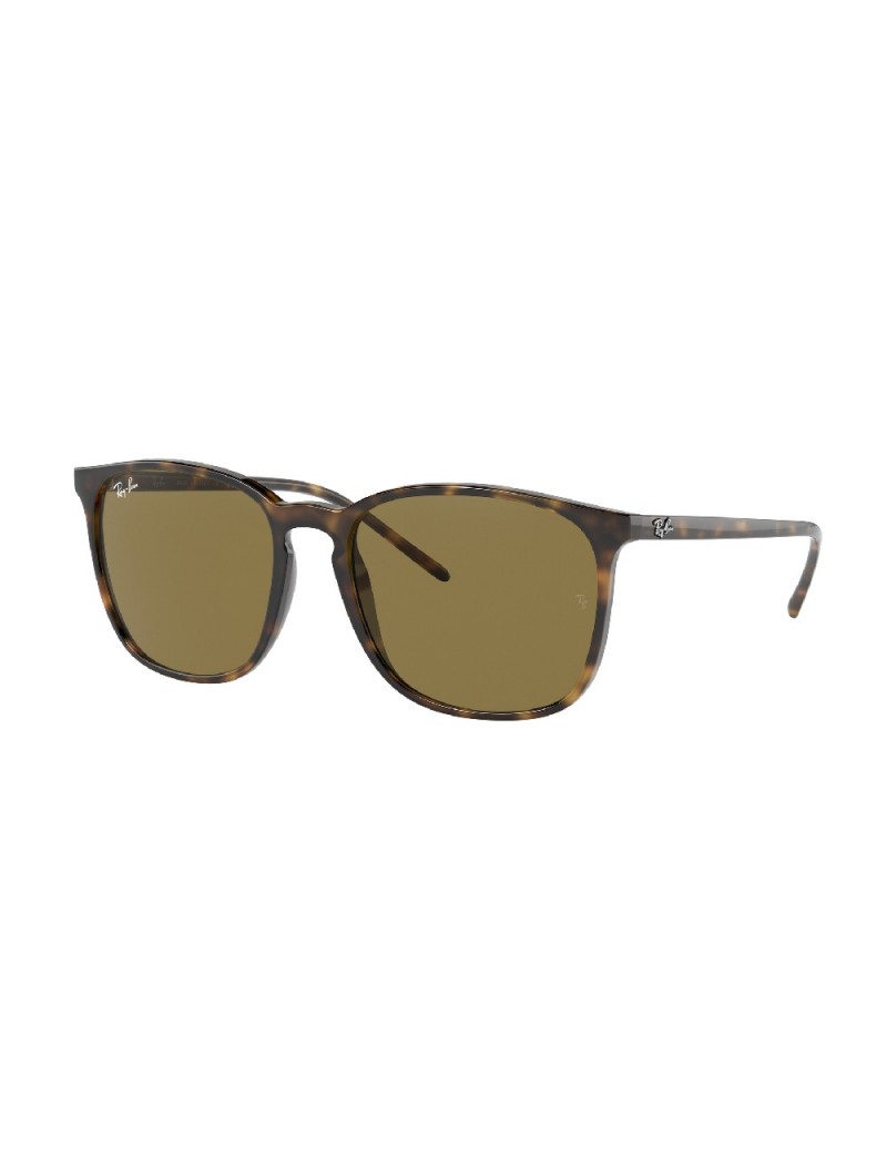 Gafa de sol Ray-Ban 4387 en color 710/73