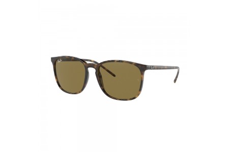 Gafa de sol Ray-Ban 4387 en color 710/73