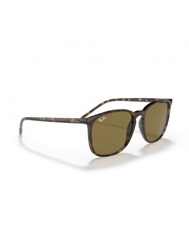 Gafa de sol Ray-Ban 4387 en color 710/73