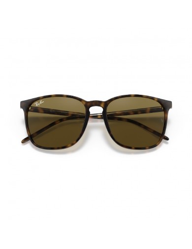 Gafa de sol Ray-Ban 4387 en color 710/73