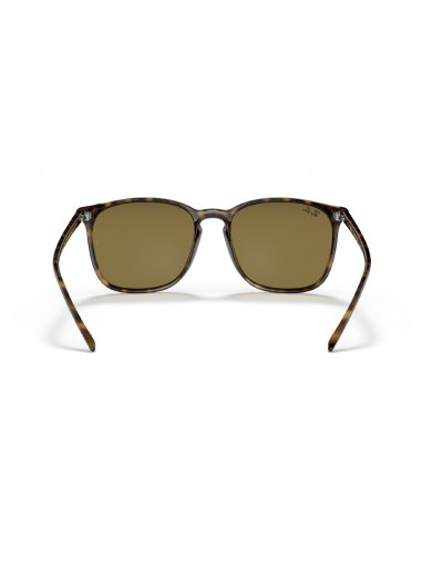 Gafa de sol Ray-Ban 4387 en color 710/73