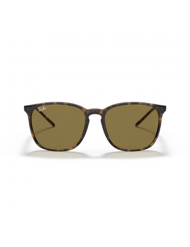 Gafa de sol Ray-Ban 4387 en color 710/73