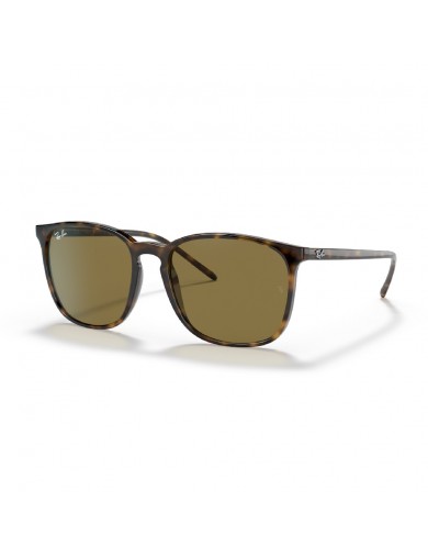 Gafa de sol Ray-Ban 4387 en color 710/73