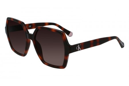 Gafas de sol Calvin Klein 21629S color 240