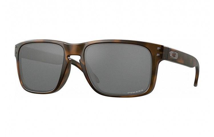 Gafas de sol Oakley Holbrook 9102 del color 9102F4