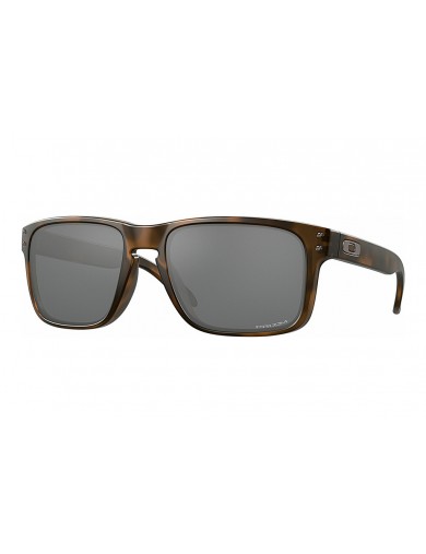 Gafas de sol Oakley Holbrook 9102 del color 9102F4