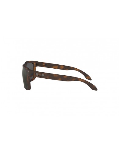 Gafas de sol Oakley Holbrook 9102 del color 9102F4