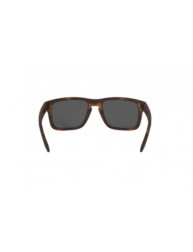 Gafas de sol Oakley Holbrook 9102 del color 9102F4