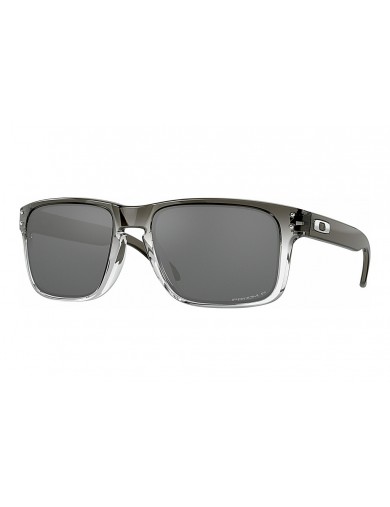 Gafas de sol Oakley Holbrook 9102 del color 9102O2