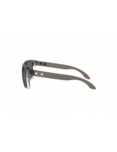Gafas de sol Oakley Holbrook 9102 del color 9102O2