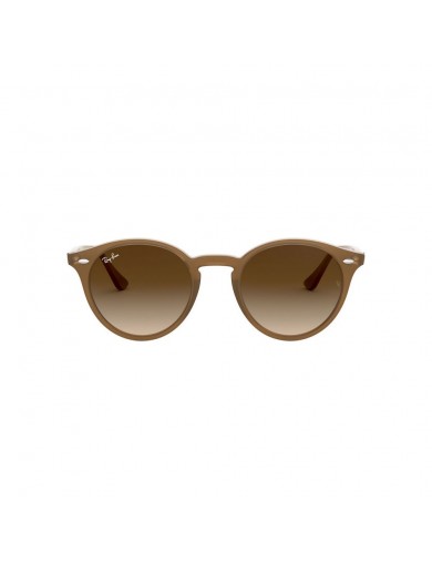 Ray-Ban 2180 color 616613