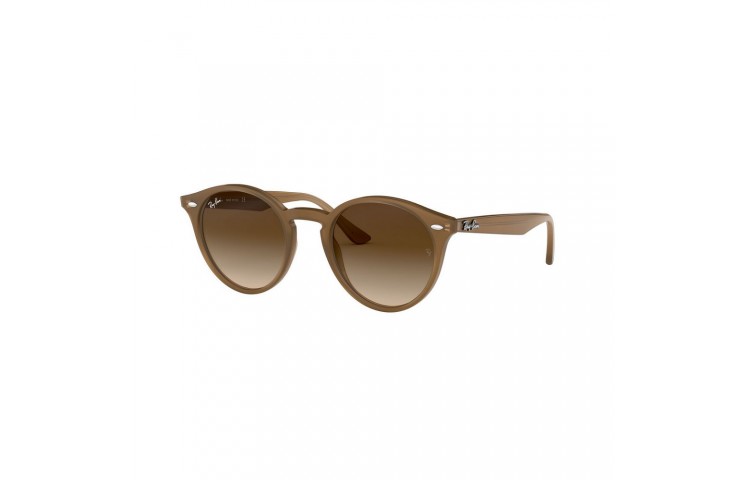 Ray-Ban 2180 color 616613