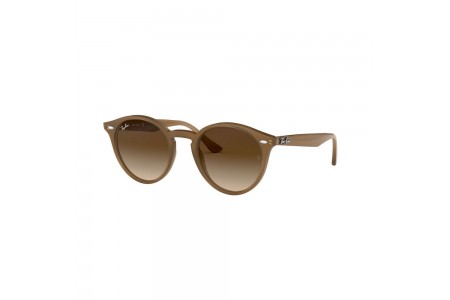 Ray-Ban 2180 color 616613