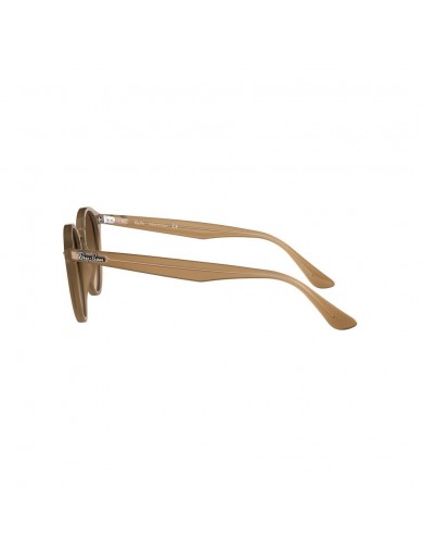 Ray-Ban 2180 color 616613