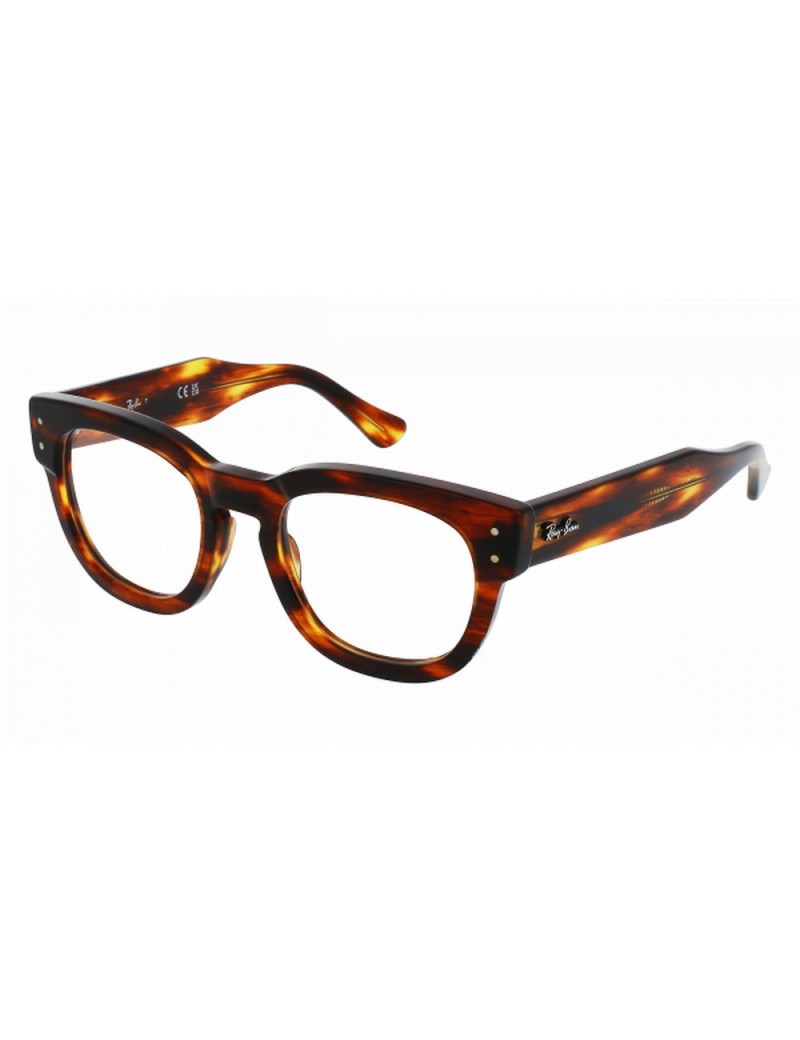 Ray-ban MEGA HAWKEYE 0298V de color 2144