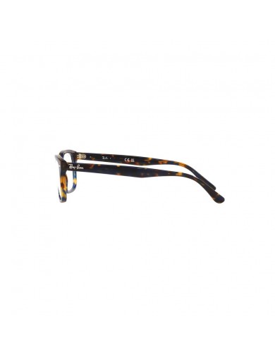 Ray-ban 5428 de color 8174