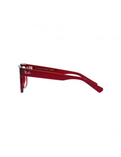 Ray-ban CHAD 7217 de color 8265
