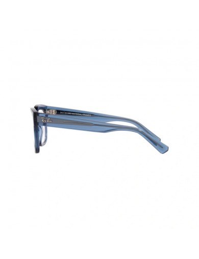 Ray-ban CHAD 7217 de color 8266
