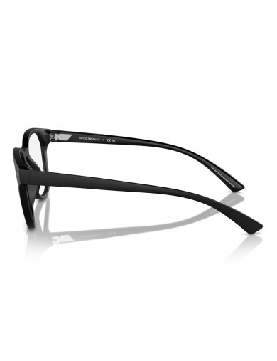 Emporio Armani 3240U de color 5001