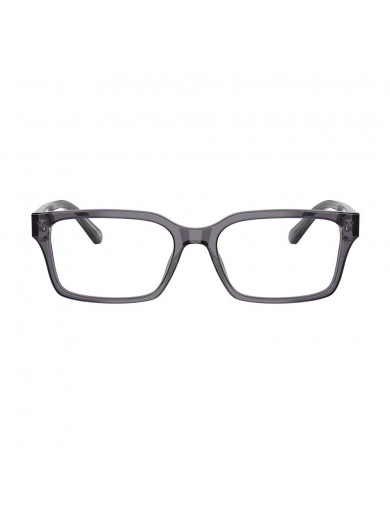 Emporio Armani 3244 de color 6106